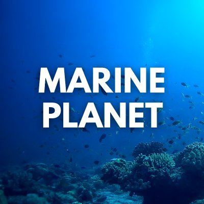 Marine Planet's profile picture