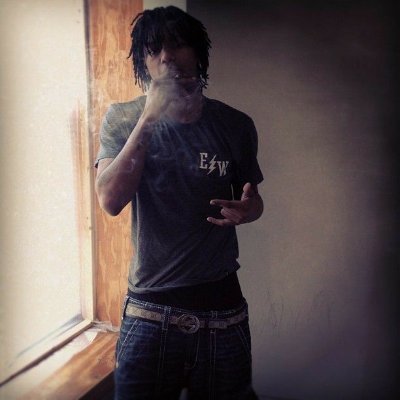 pardal's profile picture