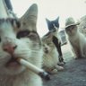 สิบยี่สิบสามสิบ profil fotoğrafı