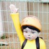 金色(こんじき)'s profile picture