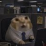 Profilbild von Big bob