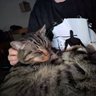 Felix's profile picture