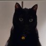 Profilbild von Lilla ⊙⊝⊜