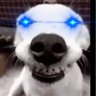 Profilbild von _VooDoo_Roo ⓣ