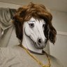 SCOTSTALLION 的头像
