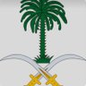 Profilbild von 🇸🇦♥️