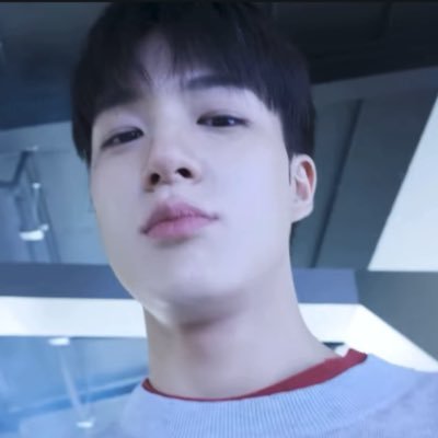 노지's profile picture