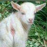 Profilbild von naomietico