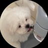ไน้เก๋อ 、 profil fotoğrafı
