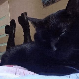 ♡Peaches♡'s profile picture