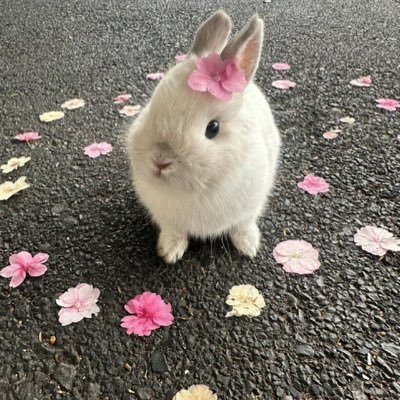 dalilyyyy's profile picture