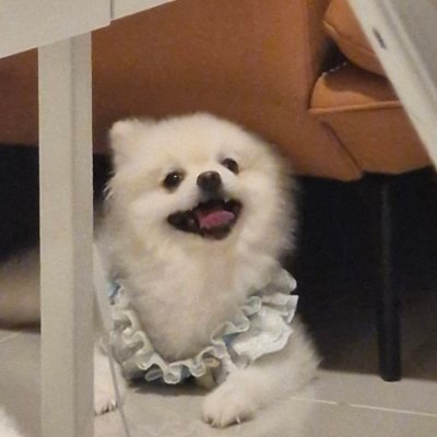 Dada's profile picture