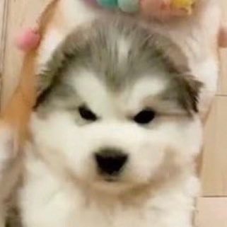 suxru_'s profile picture