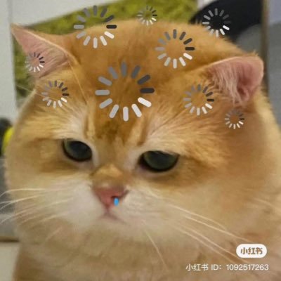 uyen ꒰*ੈ🌙 ⌗htsmcᵎᵎ's profile picture
