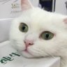 Profilbild von Ming