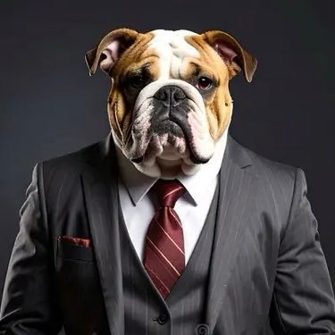 DawgFan0070's profile picture