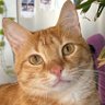 Profilbild von Hash__420