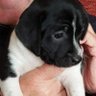Estelle profil fotoğrafı