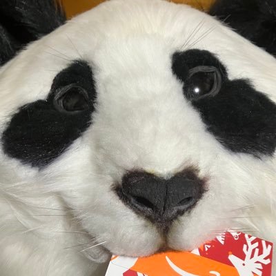 nuitachi0614's profile picture