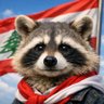 Profilbild von samraccoon