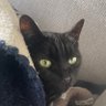ぎんみ☘️'s profile picture