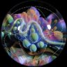 Senna (::3)'s profile picture