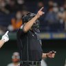 NPB(非)公式審判 profil fotoğrafı