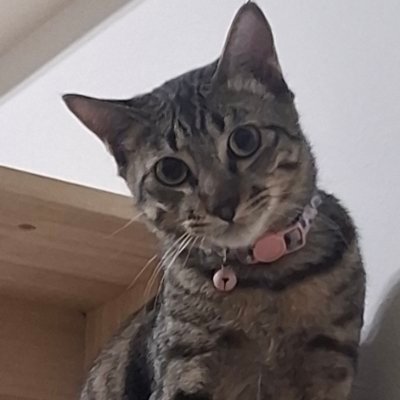 phchr_rad's profile picture