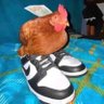 LiricoWZ 💤 profil fotoğrafı