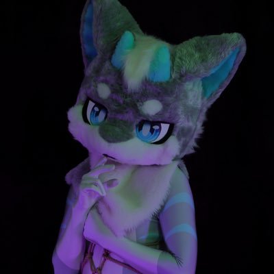 Seil_SilverDra's profile picture