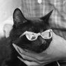 C's profile picture