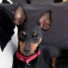 Profilbild von LondonGirl
