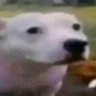 Cub0id's profile picture