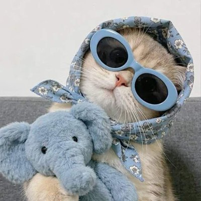 httpclingyme69's profile picture