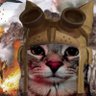 ZurusZuris's profile picture