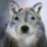 Diego G.'s profile picture