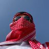 Фото профиля لبيب الزهراني