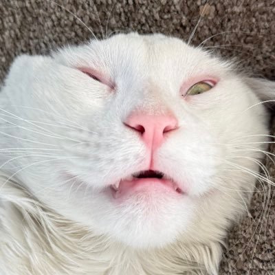 aquaa's profile picture