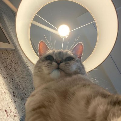 m's profile picture
