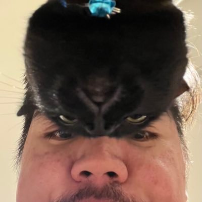 sockmoments's profile picture