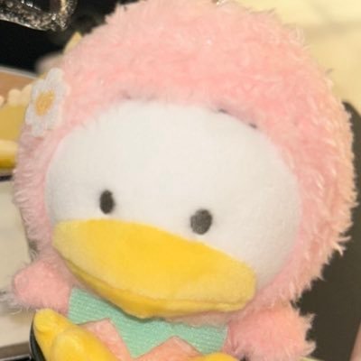 ʜɪʀᴜ's profile picture