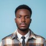 Profilbild von Ifesinachi Ekene