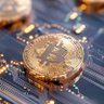 Olez Coincepts ₿'s profile picture