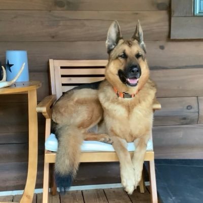 TheGoodShep45's profile picture