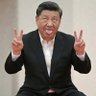 习猪头's profile picture