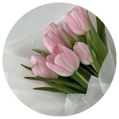 Floral Magic's profile picture