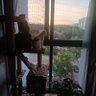 JOSEVK88 的头像