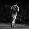 فهد's profile picture