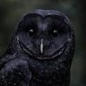 Z profil fotoğrafı