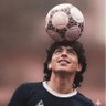 Salo_79's profile picture